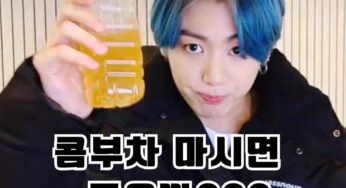 BTS 정국이 즐겨 마신대.. 콤부차효능과 부작용