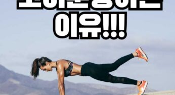 코어 운동을 하는 진짜 이유!