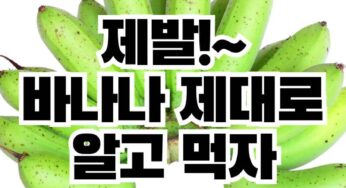 제발!~ 바나나 제대로 알고 먹자!!