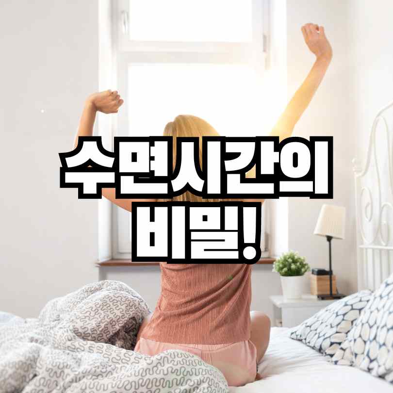 수면시간의 비밀